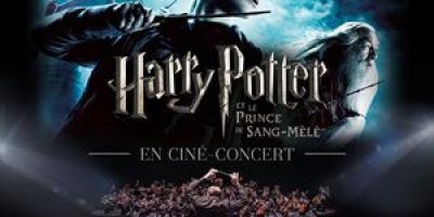 HARRY POTTER ET LE PRINCE DE SANG-MÊLÉ – Dijon