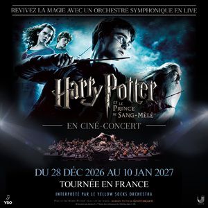 HARRY POTTER ET LE PRINCE DE SANG-MÊLÉ – Dijon