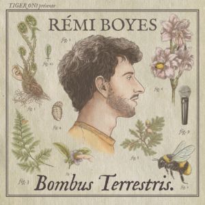 RÉMI BOYES – BOMBUS TERRESTRIS – Arles