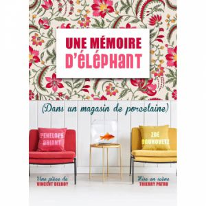 UNE MEMOIRE D&rsquo;ELEPHANT – Nantes