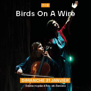 Birds On A Wire – ARC ET SENANS