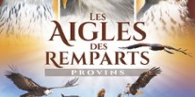Les Aigles des Remparts - Fauconnerie Equestre