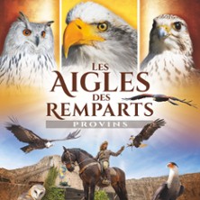 Les Aigles des Remparts – Fauconnerie Equestre Les Aigles des Remparts - Fauconnerie Equestre