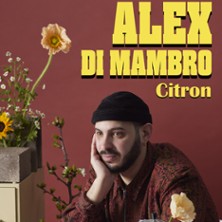 Alex Di Mambro - Théâtre BO Saint-Martin, Paris
