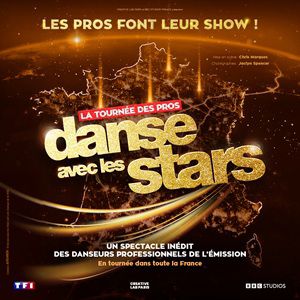 DANSE AVEC LES STARS – QUIMPER