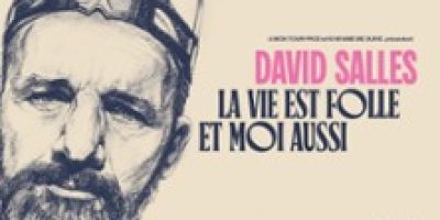 David Salles - La Vie est Folle et Moi Aussi