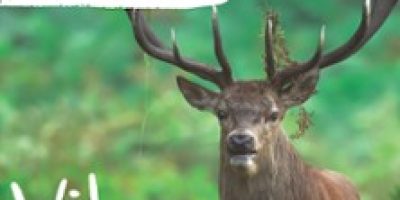 Espace Rambouillet - Parc Forestier et Animalier - Billet Daté