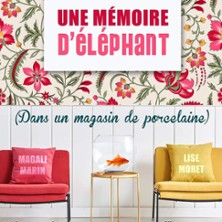 Une Mémoire d'Eléphant dans un Magasin de Porcelaine