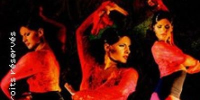 Cabaret Flamenco - Espace Culturel du Vieux Lyon