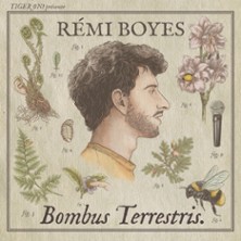 Rémi Boyes - Bombus Terrestris V2 - Le Point Virgule, Paris