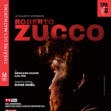 Roberto Zucco - Théâtre des Mathurins, Paris