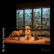 The Animal Room - Athénée - Théâtre Louis-Jouvet, Paris