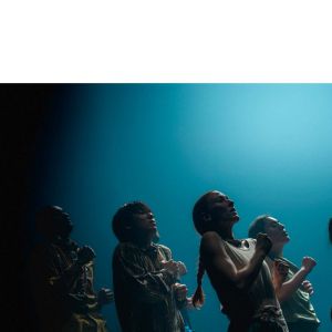 IN THE BRAIN / HOFESH SHECHTER