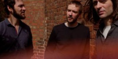 MAMMAL HANDS / SVANEBORG KARDYB