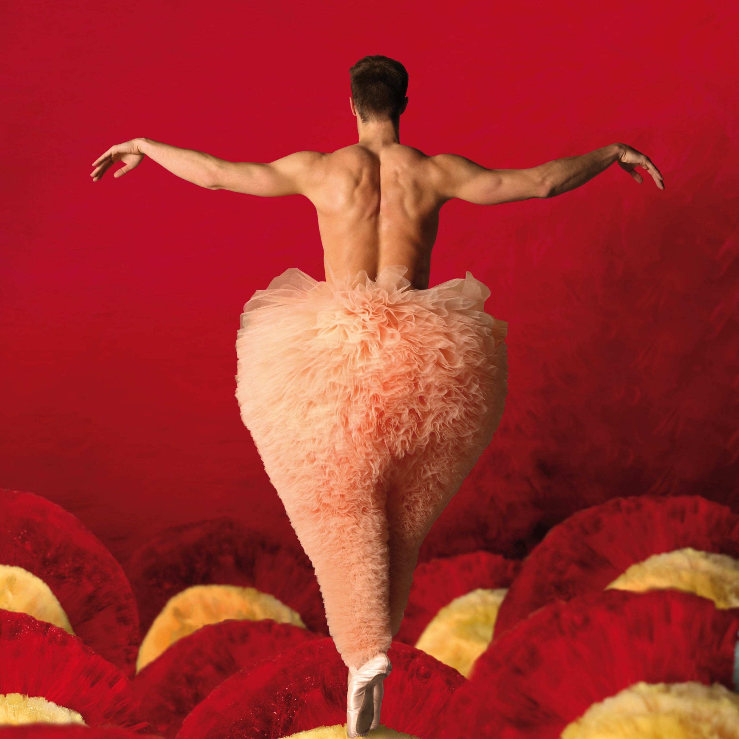 TUTU – Bourges