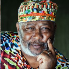 Festival Villes des Musiques du Monde