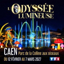 L'Odyssée Lumineuse Caen - Billet Open