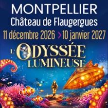 L'Odyssée Lumineuse Montpellier - Billet Daté